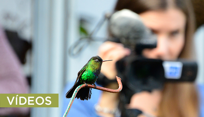 videos.Costa Rica