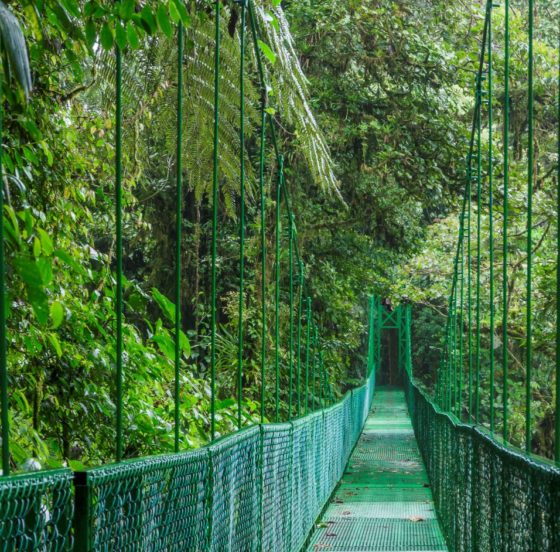 Neues aus Costa Rica