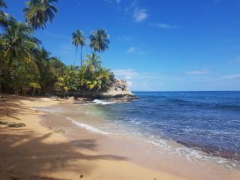 PCR-Test-Stationen in Costa Rica für die Rückreise in die Schweiz