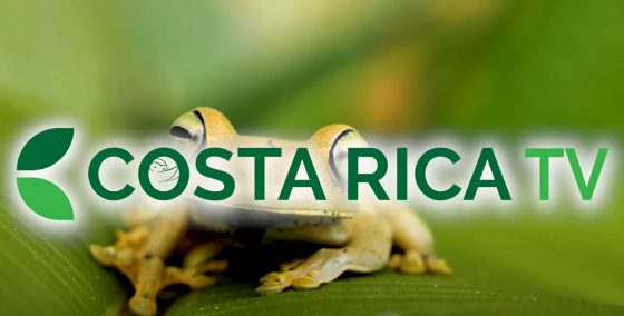 Costa Rica TV: neues Format „die virtuelle Kaffeetasse Costa Rica“ ist online!
