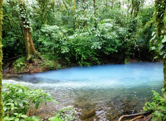 Le Parc national du Volcan Tenorio et le Rio Celeste