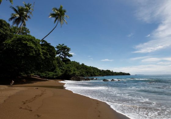 Le Parc National du Corcovado et Bahia Drake