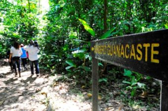 A la découverte du Guanacaste