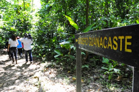 Un mois, un Parc National : Parc National Guanacaste
