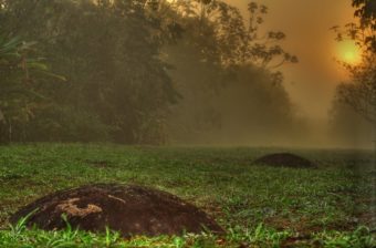 5 activités culturelles à faire au Costa-Rica :