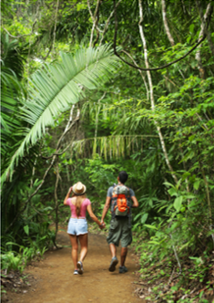 Le Costa Rica : Un paradis vert qui séduit toujours plus de visiteurs !