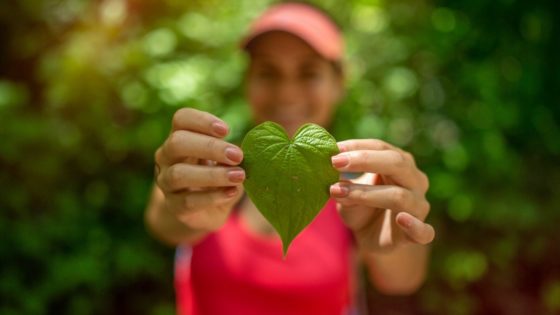 Le Costa Rica jouit de sa réputation en matière d’écotourisme