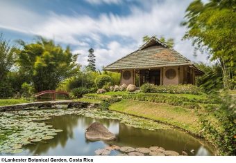 Rendez-vous au jardin botanique Lankester