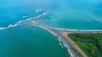 Un mois – un parc : Le Parc National Marino Ballena