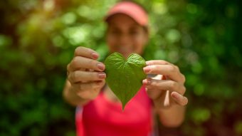 Bon à savoir > Les touristes pourront compenser l’empreinte carbone de leurs voyages et ainsi soutenir l’économie verte au Costa Rica