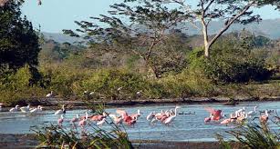 Un mois, un parc : Le Parc National Palo Verde