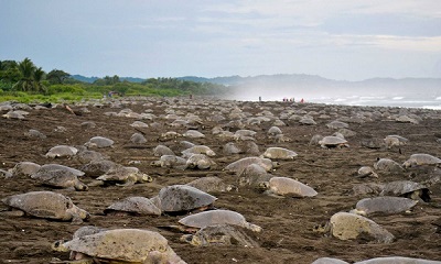 Six attractions touristiques incontournables à Santa Cruz et Nicoya