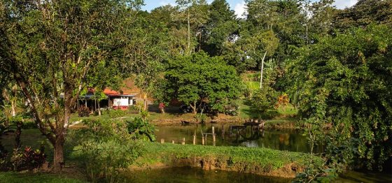 Bon à savoir : Finca SURA et l’expérience du tourisme rural au Costa Rica