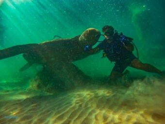 Le Costa Rica possède un musée sous-marin dans les eaux du Pacifique central