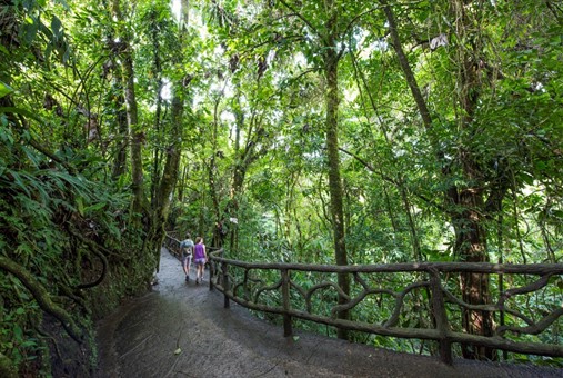 A la découverte de la magie du parc Místico