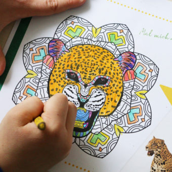 Costa Rican colouring and activity book – Free Download