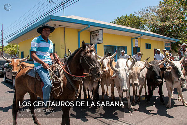 costa-rica_los-centauros-de-la-sabana