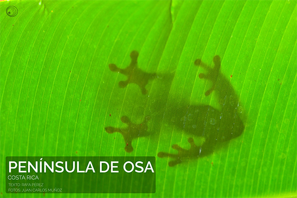 costa-rica_peninsula-de-osa