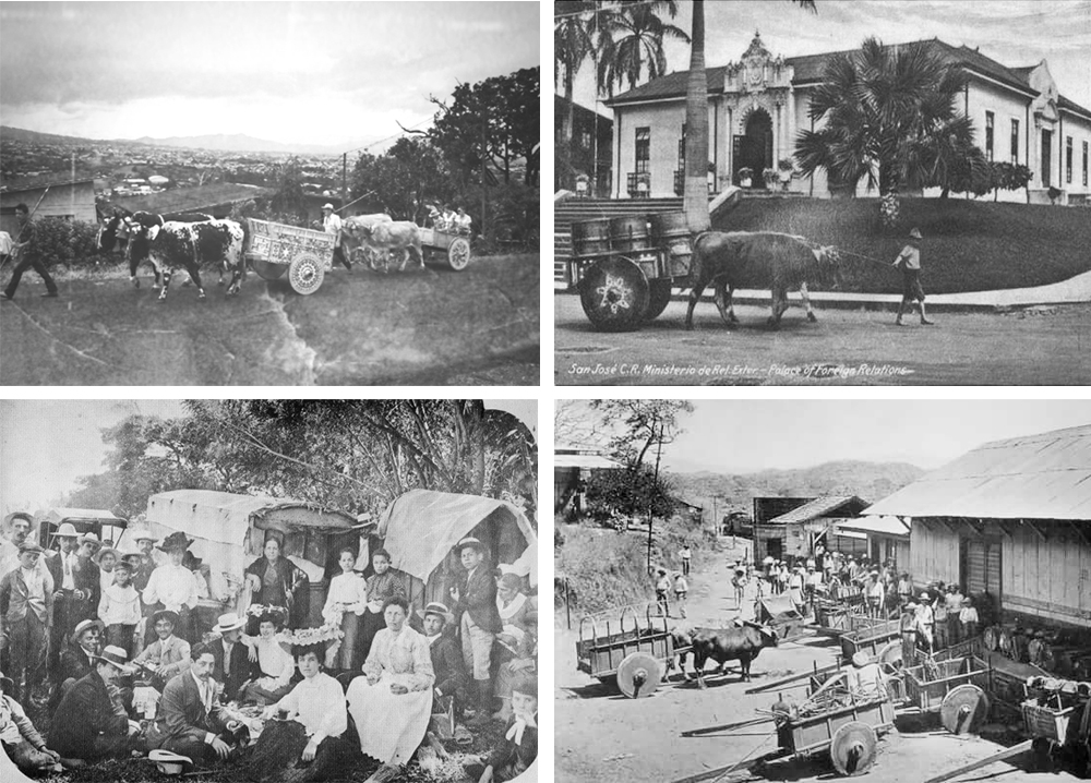 Fotos históricas de carretas y bueyes costarricenses