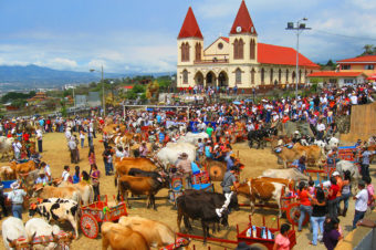 Día Nacional del Boyero. Escazú