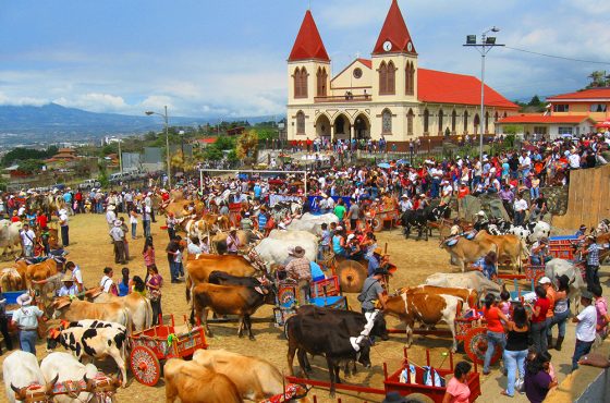 Día Nacional del Boyero. Escazú