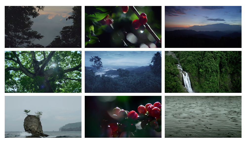 Fotogramas del spot Blue Sérum Chanel inspirado en Costa Rica