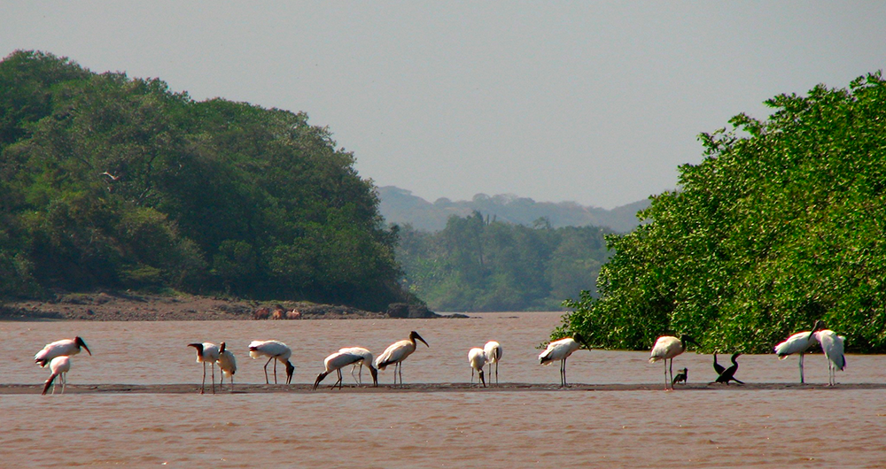 Río Tempisque