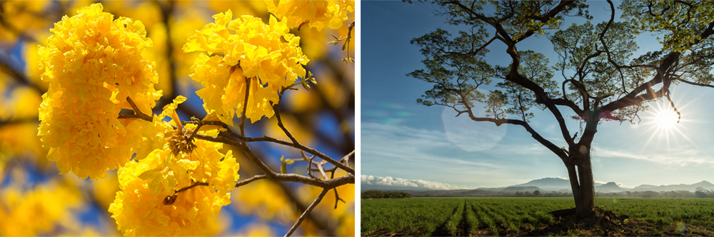 turismo-sostenible-costa-rica