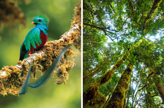 La UNESCO declara Savegre nueva Reserva de la Biosfera