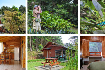 Los Pinos – Cabañas y Jardines. Monteverde