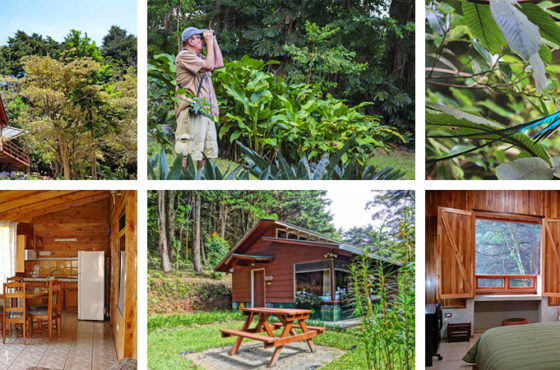 Los Pinos – Cabañas y Jardines. Monteverde