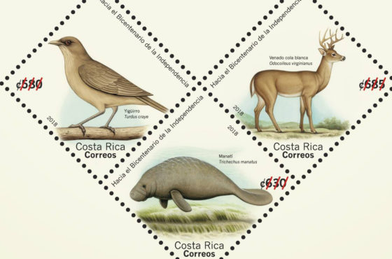 El yigüirro, el manatí y el venado cola blanca viajarán por Costa Rica y el mundo