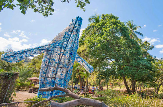 La ballena Esi de playa Ocotal y la necesidad de eliminar los plásticos de un solo uso