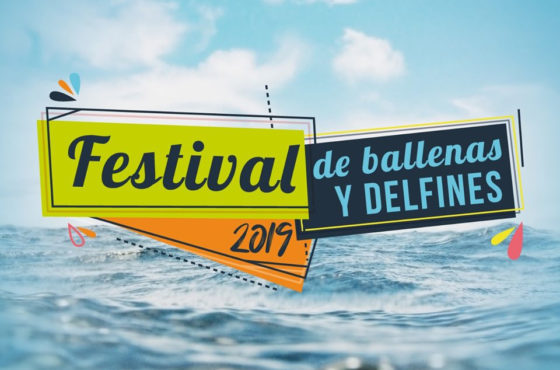 Costa Rica celebra la XI Edición del Festival de Ballenas y Delfines