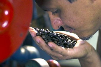 Tours de plantaciones de café