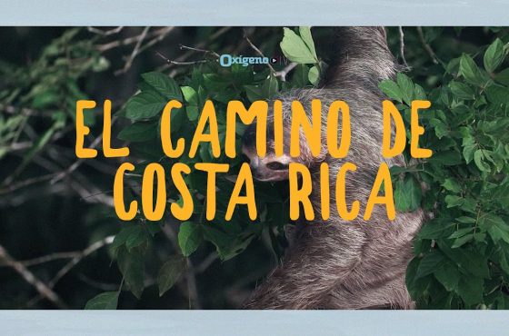 “El Camino de Costa Rica”, el proyecto de turismo rural de costa a costa