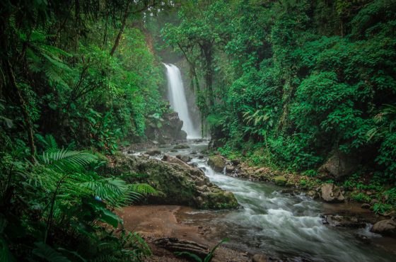 Costa Rica nominada como finalista para los Earthshot Prize