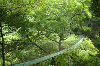 Costa Rica es hoy un país más verde que hace 20 años