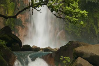 Costa Rica promociona programa de Compensación de Huella de Carbono para los turistas