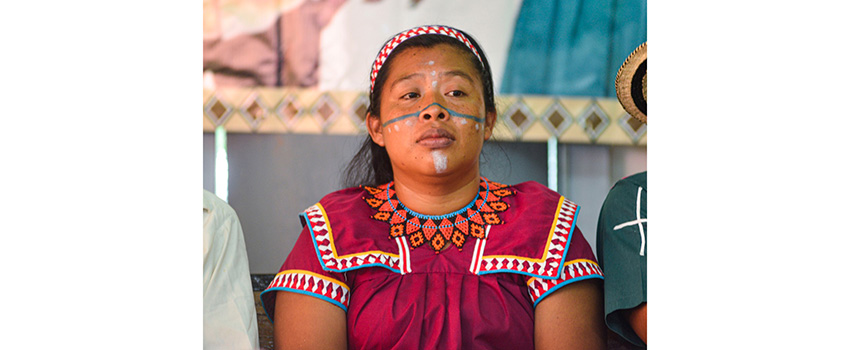 Nombran oficialmente a la primera mujer cacique en el territorio indígena del Alto Comte