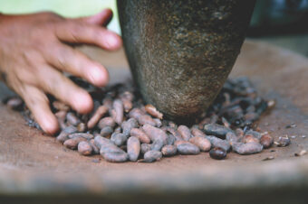 Procesamiento de cacao tradicional en Cahuita