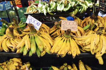 Cuatro mercados orgánicos en Costa Rica para disfrutar como un “tico”