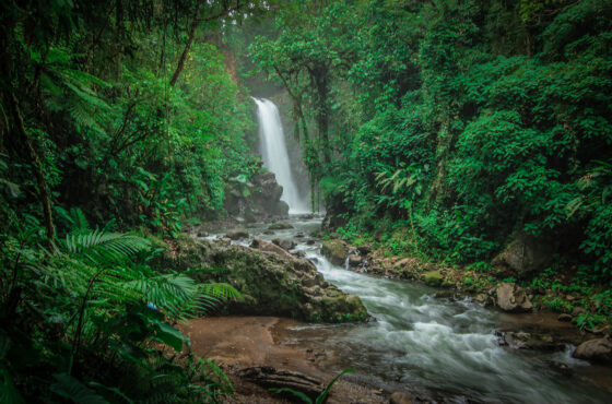 En el primer semestre del año, Costa Rica recibió 1,2 millones de turistas