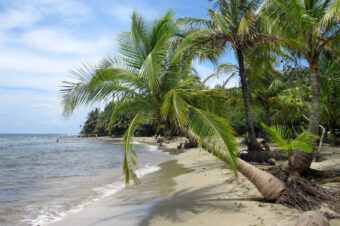 The Times y Sunday Times Travel Awards premian a Costa Rica como el major destino emergente en el 2022